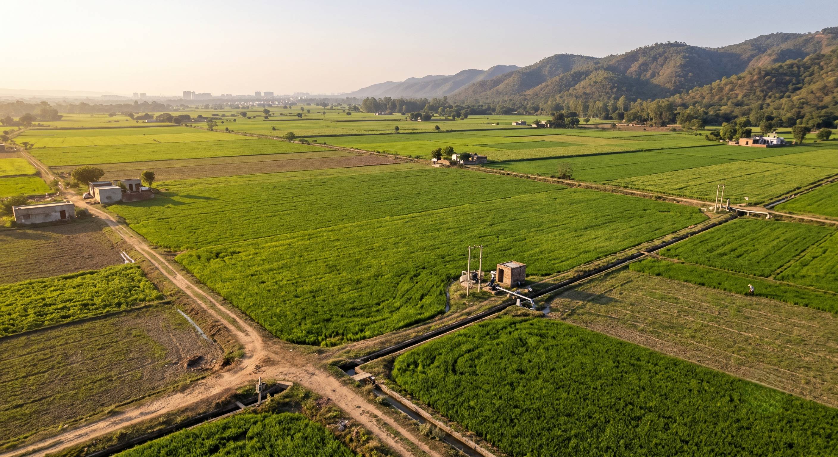 Premium Agricultural Land for Sale in Naya Gaon, Mohali