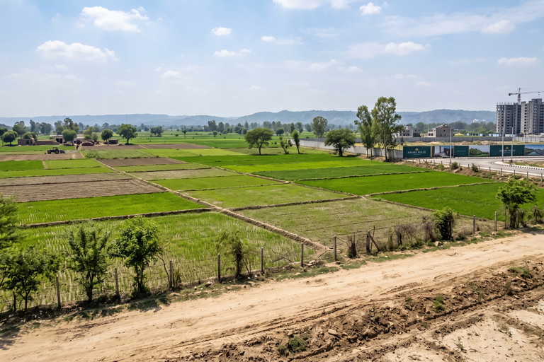4 Acres Agricultural Land for Sale Near Amari Hills Project, Mohali